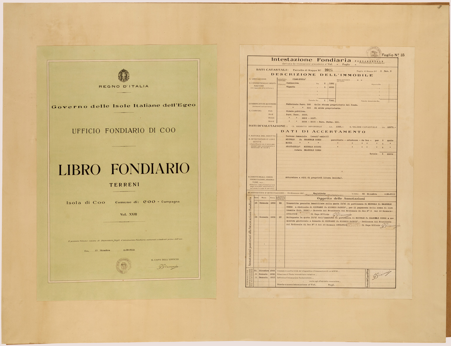 (N:26560) CATASTO DELLE ISOLE DELL' EGEO - ESEMPIO DI LIBRETTO FONDIARIO (SE000311) Carte e stampe antiche: riproduzione a colori su carta (formato A1)