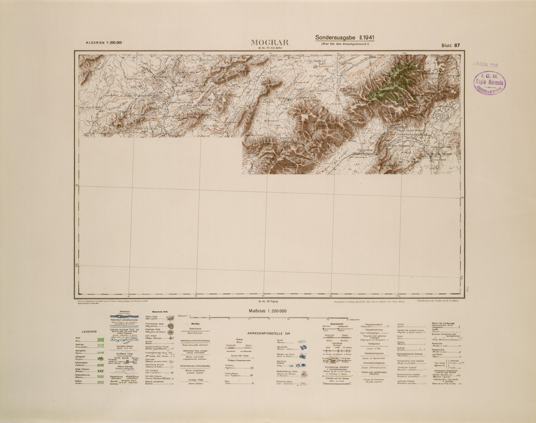(N:29195) ALGERIA (EDIZIONE TEDESCA) MOGRAR FOGLIO 87 (SE002966) Carte e stampe antiche: riproduzione a colori su carta (formato A1)