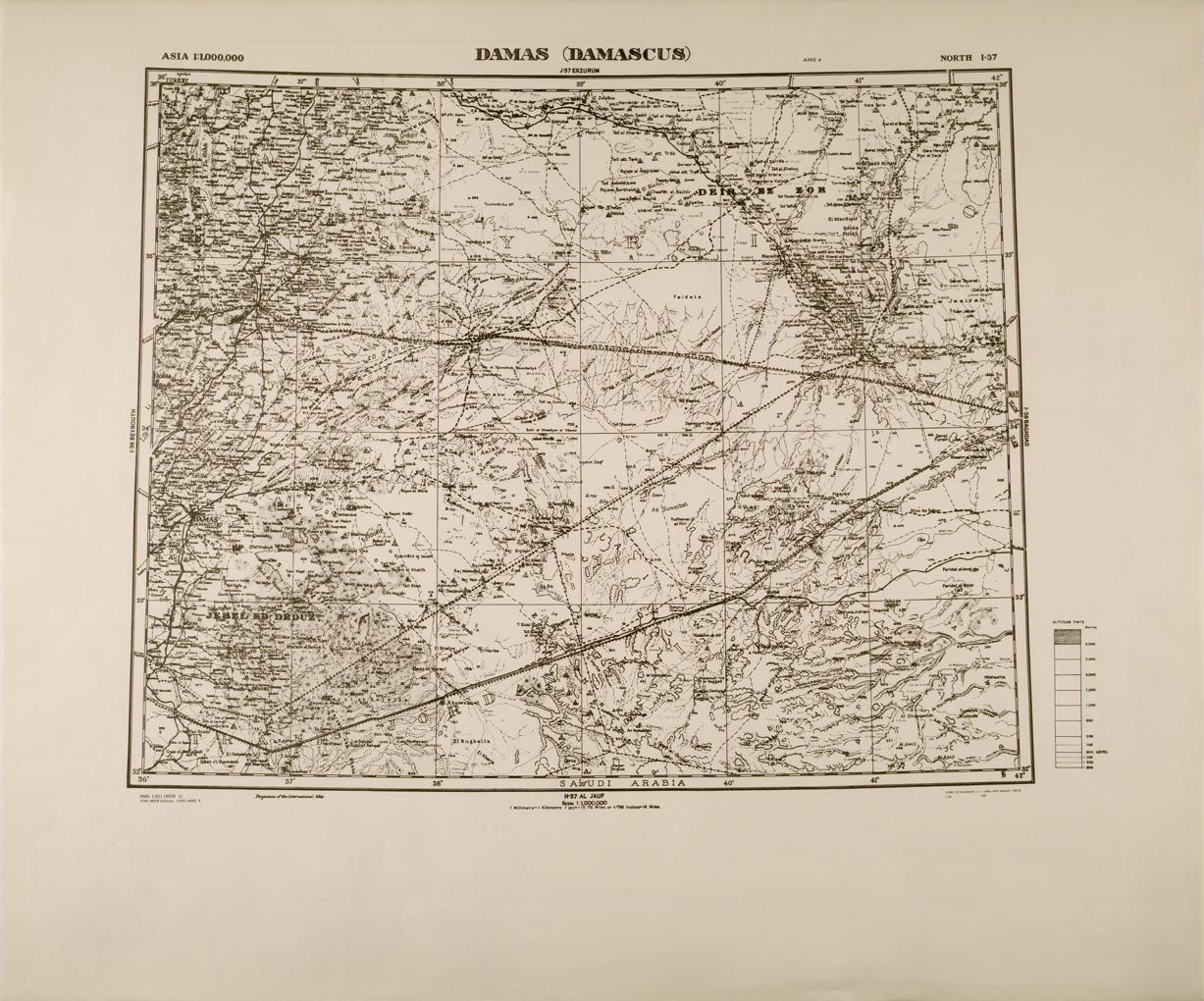 (N:29319) DAMAS. (SE003167) Carte e stampe antiche: riproduzione a colori su carta (formato A1)