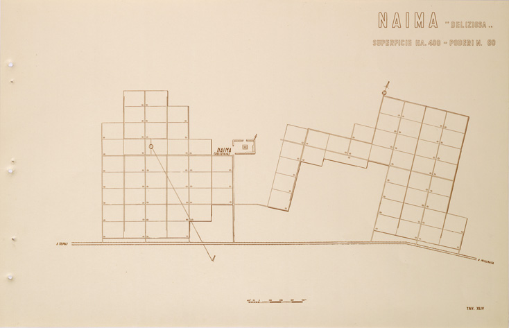 (N:31732) ENTE PER LA COLONIZZAZIONE DELLA LIBIA - TAVOLA XLV - NAIMA. (SE005883) Carte e stampe antiche: riproduzione a colori su carta (formato A1)