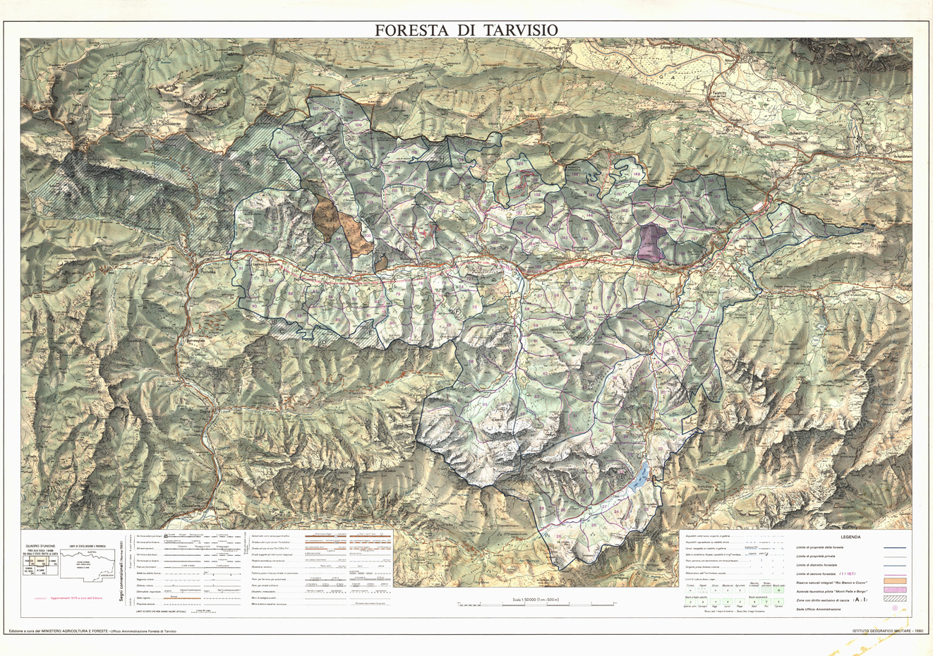 (N:32439) FORESTA DI TARVISIO. (SE007137) Carte e stampe antiche: riproduzione a colori su carta (formato A1)