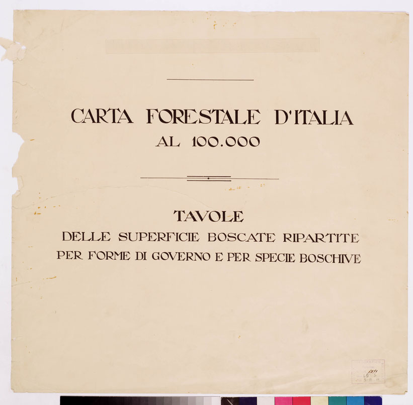 (N:4826) CARTA FORESTALE DEL REGNO D'ITALIA... (B0008754) Carte e stampe antiche: riproduzione a colori su carta (formato A1)