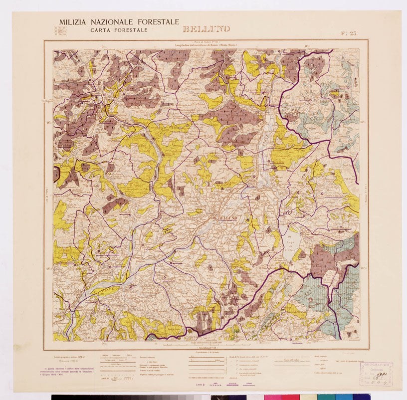 (N:4683) CARTA FORESTALE DEL REGNO D'ITALIA... - Foglio 23 BELLUNO (B0008790) Carte e stampe antiche: riproduzione a colori su carta (formato A1)
