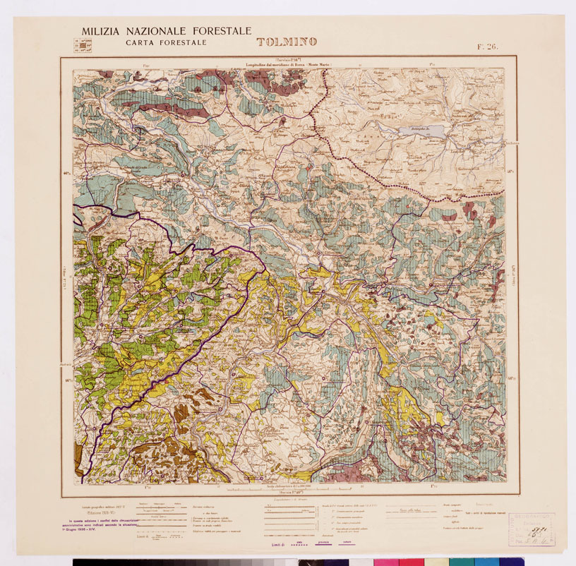 (N:4715) CARTA FORESTALE DEL REGNO D'ITALIA... - Foglio 26 TOLMINO (B0008793) Carte e stampe antiche: riproduzione a colori su carta (formato A1)