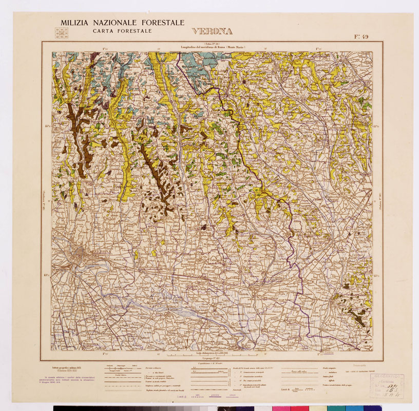 (N:4757) CARTA FORESTALE DEL REGNO D'ITALIA... - Foglio 49 VERONA (B0008819) Carte e stampe antiche: riproduzione a colori su carta (formato A1)