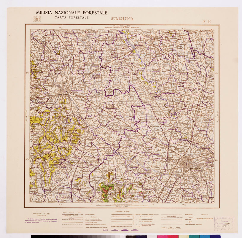 (N:4759) CARTA FORESTALE DEL REGNO D'ITALIA... - Foglio 50 PADOVA (B0008820) Carte e stampe antiche: riproduzione a colori su carta (formato A1)