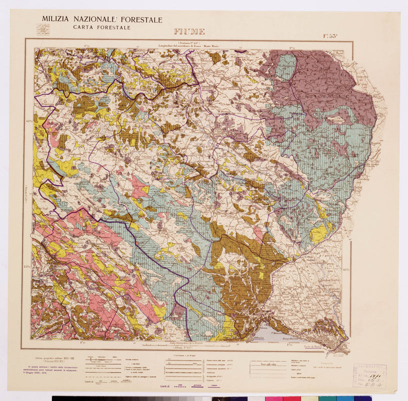 (N:4763) CARTA FORESTALE DEL REGNO D'ITALIA... - Foglio 53 b FIUME (B0008825) Carte e stampe antiche: riproduzione a colori su carta (formato A1)