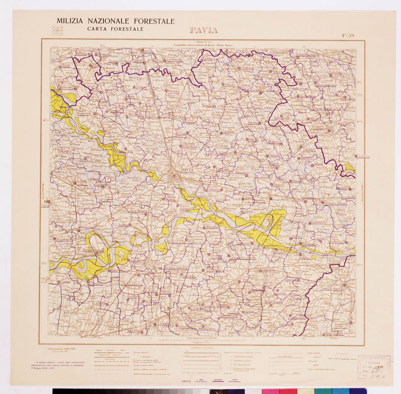 (N:4770) CARTA FORESTALE DEL REGNO D'ITALIA... - Foglio 59 PAVIA (B0008831) Carte e stampe antiche: riproduzione a colori su carta (formato A1)