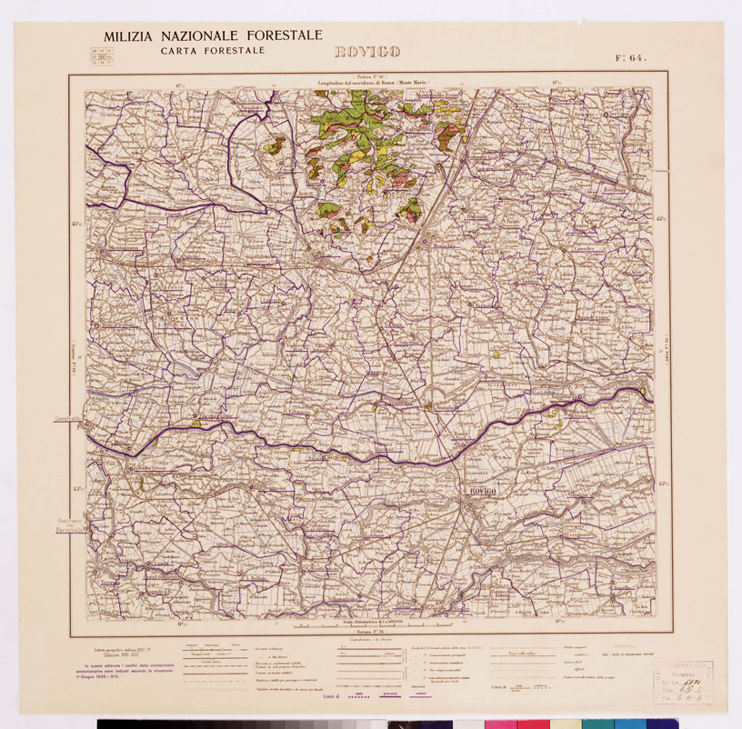 (N:4776) CARTA FORESTALE DEL REGNO D'ITALIA... - Foglio 64 ROVIGO (B0008836) Carte e stampe antiche: riproduzione a colori su carta (formato A1)