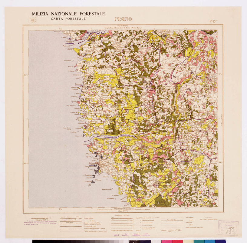 (N:4777) CARTA FORESTALE DEL REGNO D'ITALIA... - Foglio 65 a PISANO (B0008838) Carte e stampe antiche: riproduzione a colori su carta (formato A1)