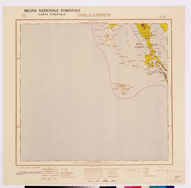 (N:4806) CARTA FORESTALE DEL REGNO D'ITALIA... - Foglio 89 a ISOLA LUSSINO (B0008866) Carte e stampe antiche: riproduzione a colori su carta (formato A1)