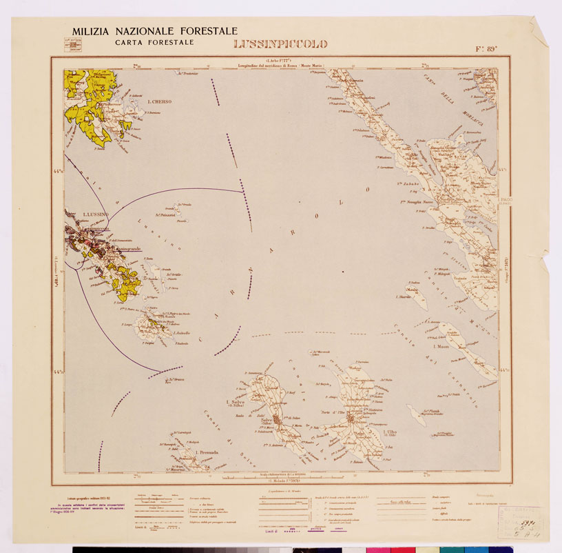 (N:4807) CARTA FORESTALE DEL REGNO D'ITALIA... - Foglio 89 b LUSSIN PICCOLO (B0008867) Carte e stampe antiche: riproduzione a colori su carta (formato A1)