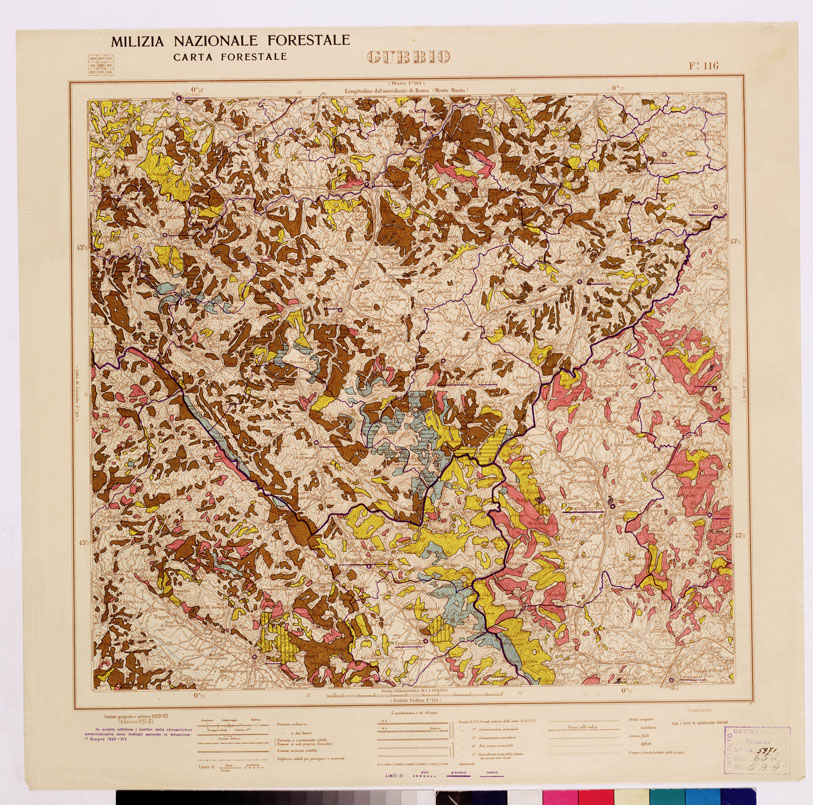 (N:4562) CARTA FORESTALE DEL REGNO D'ITALIA... - Foglio 116 GUBBIO (B0008891) Carte e stampe antiche: riproduzione a colori su carta (formato A1)