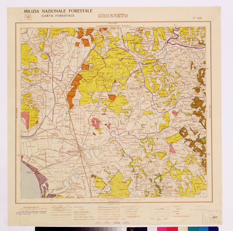 (N:4575) CARTA FORESTALE DEL REGNO D'ITALIA... - Foglio 128 GROSSETO (B0008903) Carte e stampe antiche: riproduzione a colori su carta (formato A1)