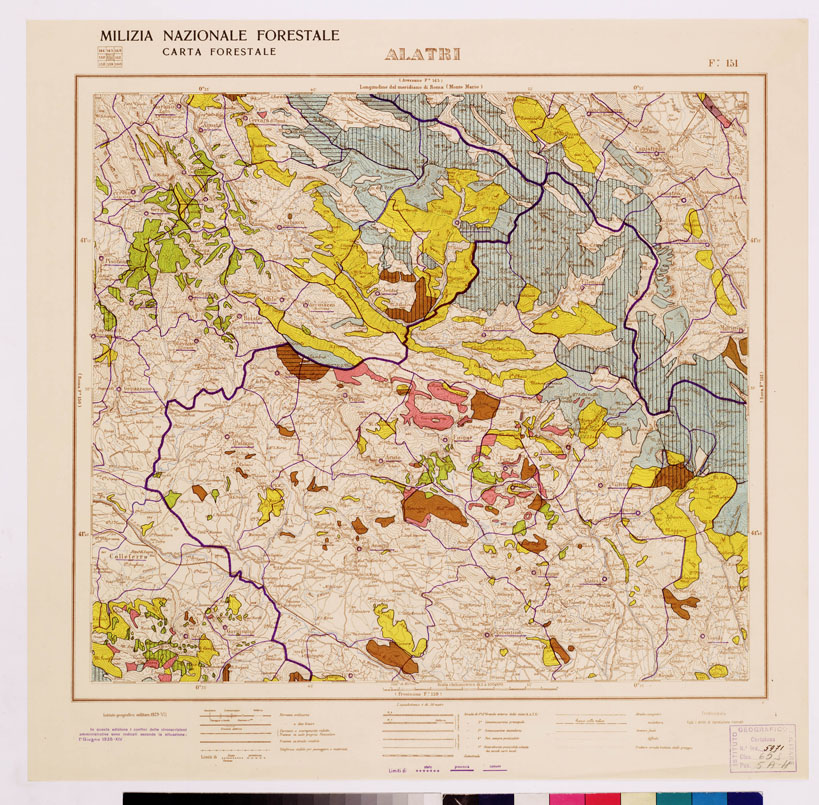 (N:4602) CARTA FORESTALE DEL REGNO D'ITALIA... - Foglio 151 ALATRI (B0008926) Carte e stampe antiche: riproduzione a colori su carta (formato A1)