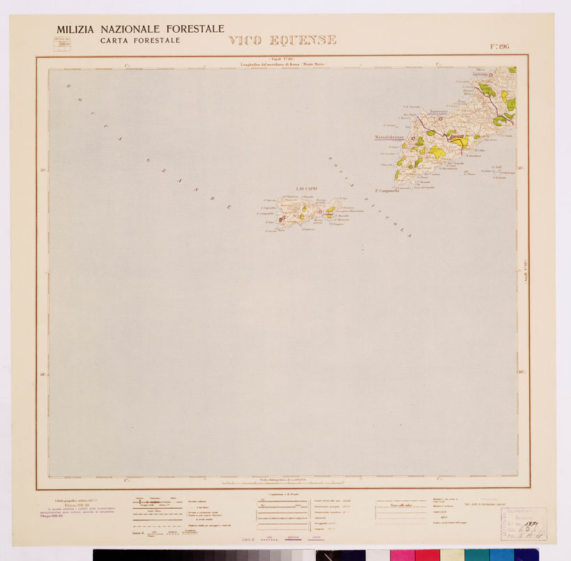 (N:4647) CARTA FORESTALE DEL REGNO D'ITALIA... - Foglio 196 VICO EQUENSE (B0008967) Carte e stampe antiche: riproduzione a colori su carta (formato A1)