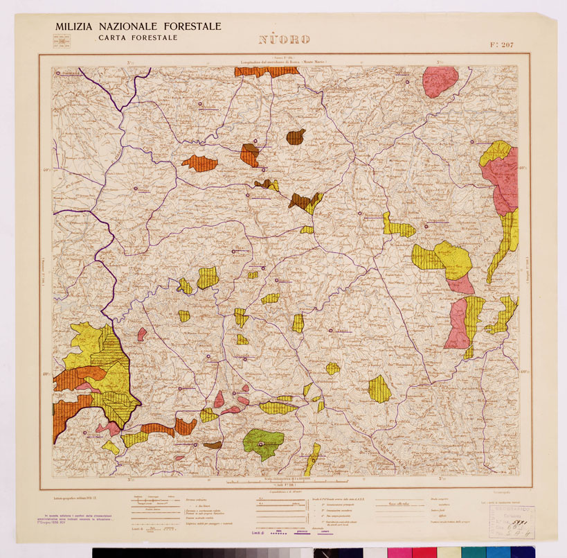 (N:4659) CARTA FORESTALE DEL REGNO D'ITALIA... - Foglio 207 NUORO (B0008977) Carte e stampe antiche: riproduzione a colori su carta (formato A1)