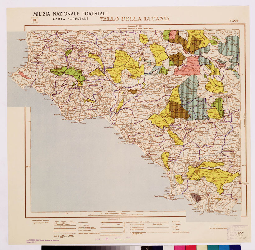 (N:4661) CARTA FORESTALE DEL REGNO D'ITALIA... - Foglio 209 VALLO DELLA LUCANIA (B0008979) Carte e stampe antiche: riproduzione a colori su carta (formato A1)