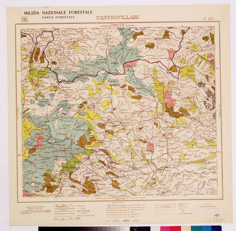 (N:4674) CARTA FORESTALE DEL REGNO D'ITALIA... - Foglio 221 CASTROVILLARI (B0008990) Carte e stampe antiche: riproduzione a colori su carta (formato A1)
