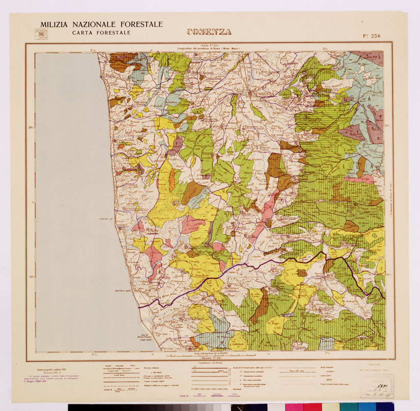 (N:4690) CARTA FORESTALE DEL REGNO D'ITALIA... - Foglio 236 COSENZA (B0009005) Carte e stampe antiche: riproduzione a colori su carta (formato A1)