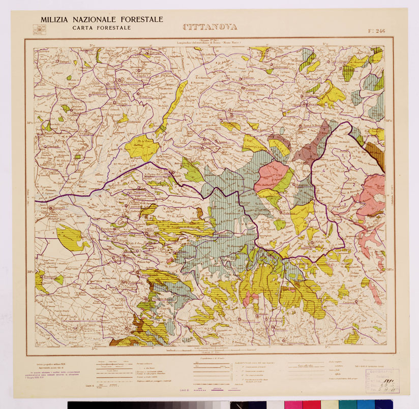 (N:4700) CARTA FORESTALE DEL REGNO D'ITALIA... - Foglio 246 CITTANOVA (B0009014) Carte e stampe antiche: riproduzione a colori su carta (formato A1)