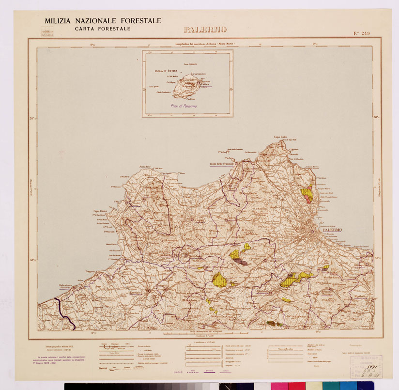 (N:4703) CARTA FORESTALE DEL REGNO D'ITALIA... - Foglio 249 PALERMO (B0009017) Carte e stampe antiche: riproduzione a colori su carta (formato A1)