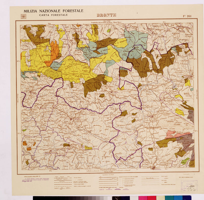 (N:4717) CARTA FORESTALE DEL REGNO D'ITALIA... - Foglio 261 BRONTE (B0009028) Carte e stampe antiche: riproduzione a colori su carta (formato A1)