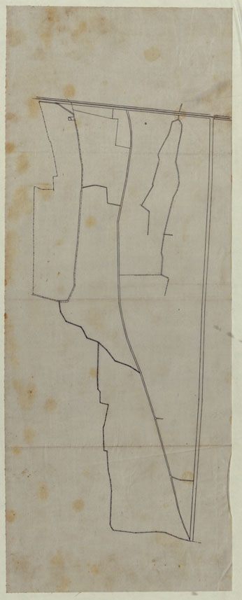 (N:23850) COMUNE DI ORTONOVO LUCIDI DI CAMPAGNA - FOGLIO 14 (CA003121) Carte e stampe antiche: riproduzione a colori su carta (formato A1)