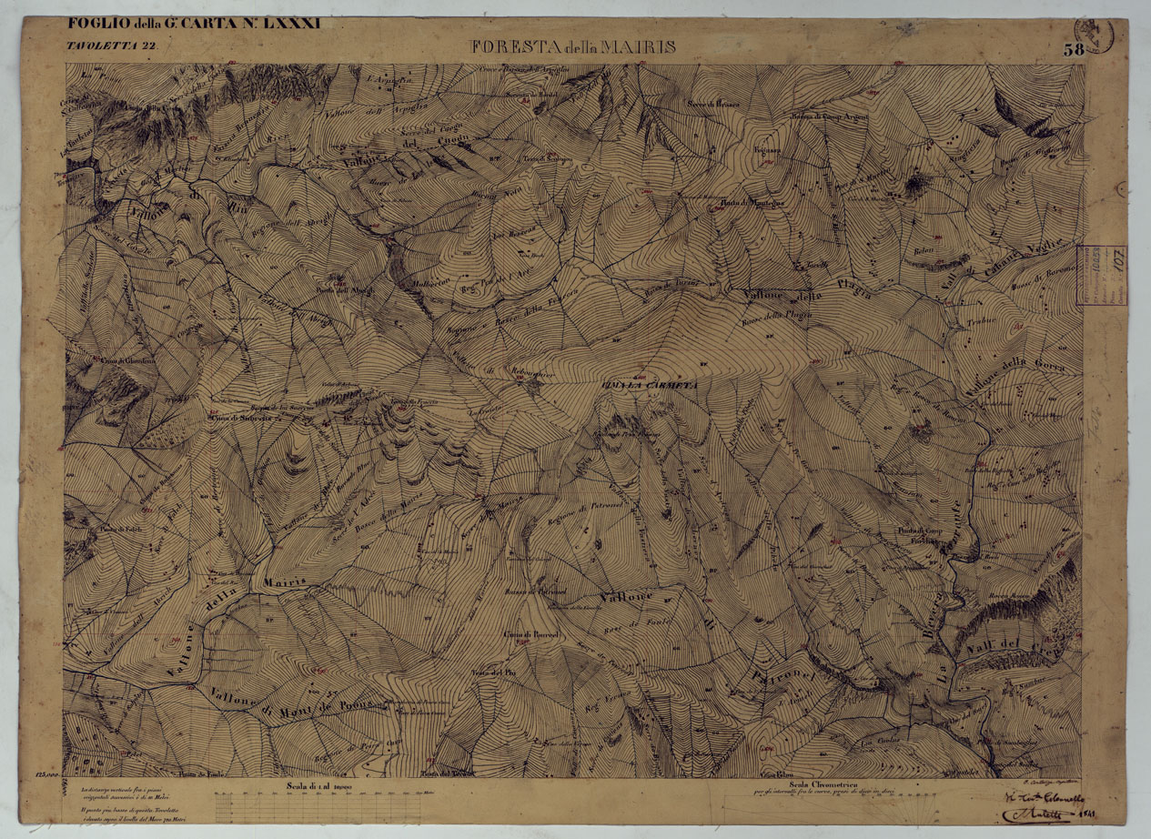 (N:16657) TERRITORIO DELLA CONTEA DI NIZZA - TAVOLA 58 FORESTA DELLA MAIRIS. (CA008496) Carte e stampe antiche: riproduzione a colori su carta (formato A1)