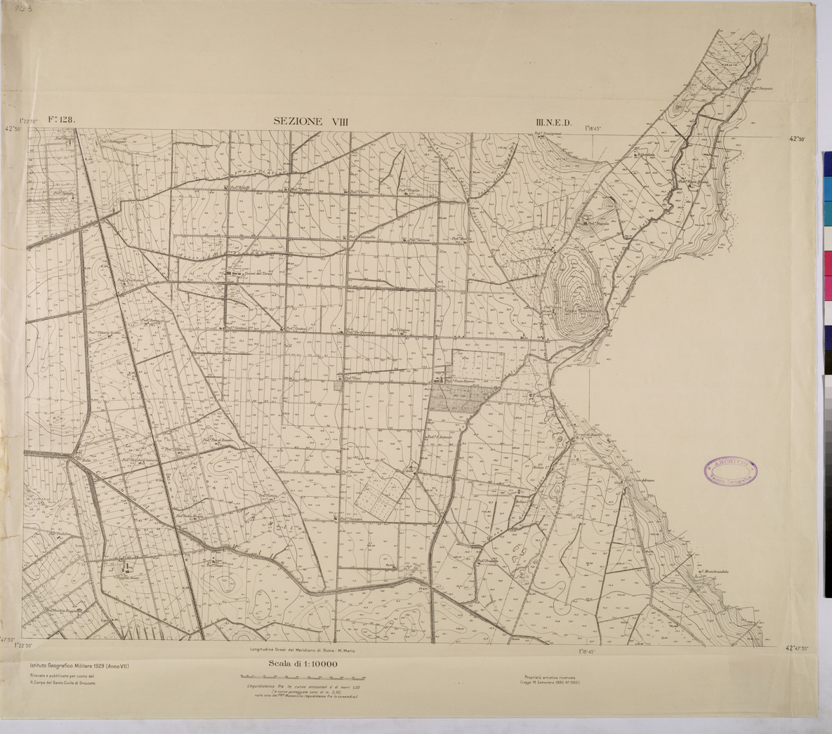 (N:25762) TOPOGRAFIA DELLA PIANURA GROSSETANA - F.128 SEZIONE VIII III N.E.D. (CA008961) Carte e stampe antiche: riproduzione a colori su carta (formato A1)