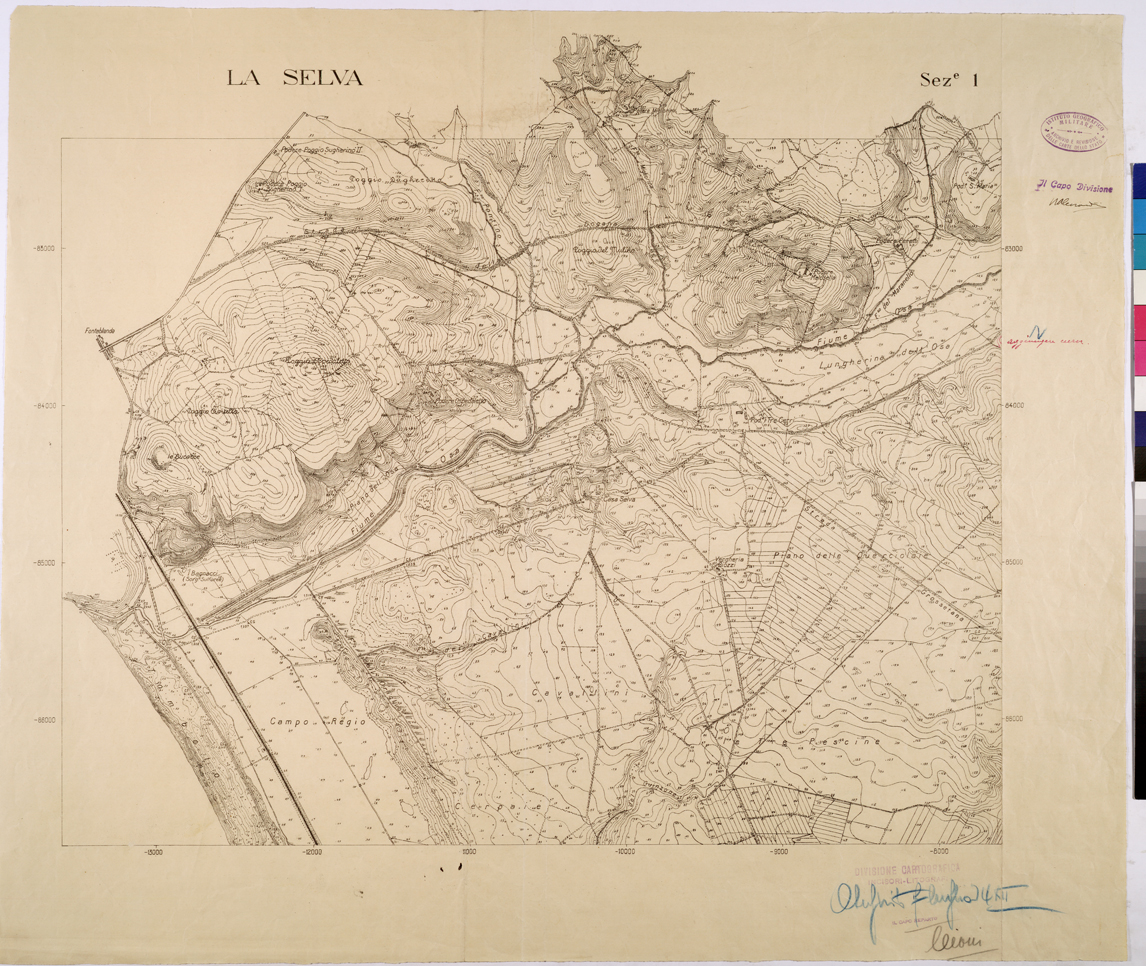 (N:25836) LA SELVA - SEZIONE I. (CA009035) Carte e stampe antiche: riproduzione a colori su carta (formato A1)