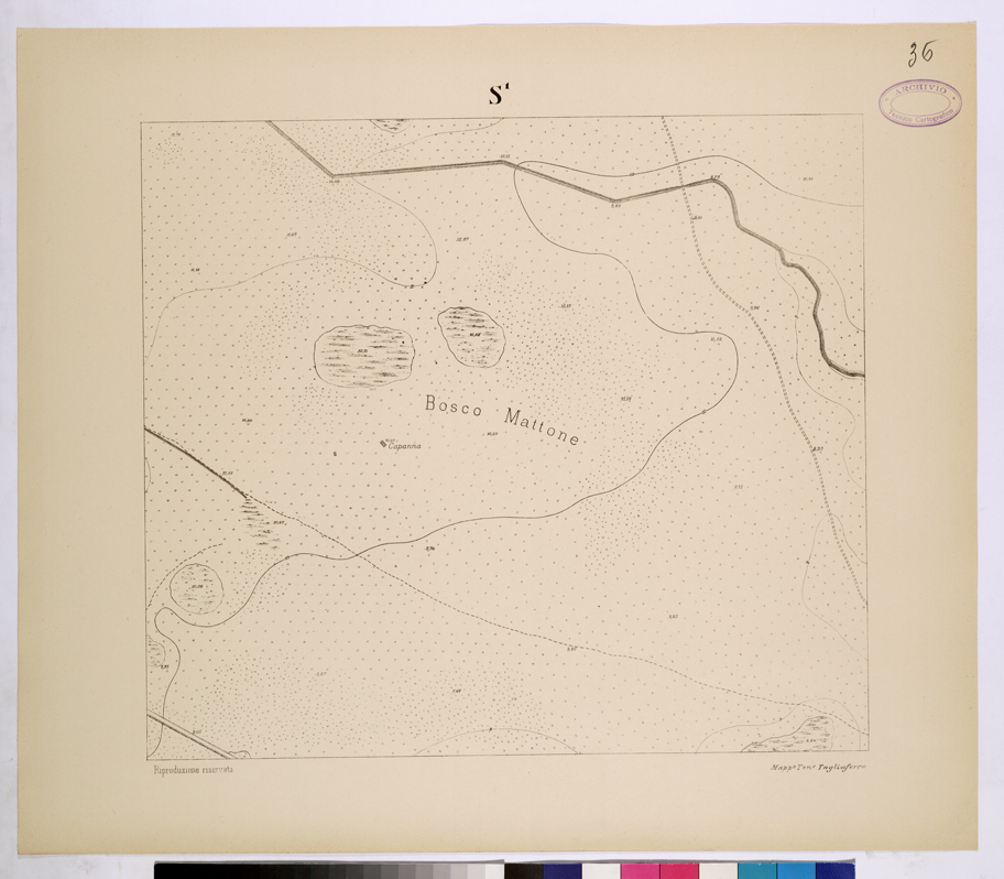 (N:26134) POLIGONO DI NETTUNO - FOGLIO S1. (CA009343) Carte e stampe antiche: riproduzione a colori su carta (formato A1)