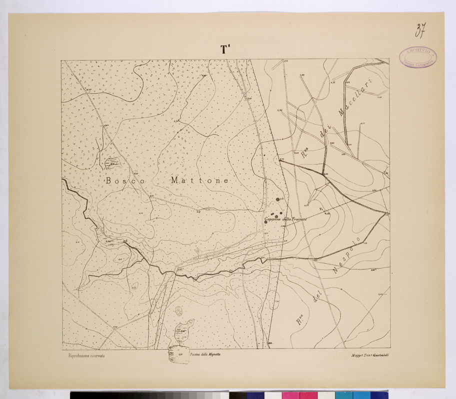 (N:26135) POLIGONO DI NETTUNO - FOGLIO T1. (CA009344) Carte e stampe antiche: riproduzione a colori su carta (formato A1)