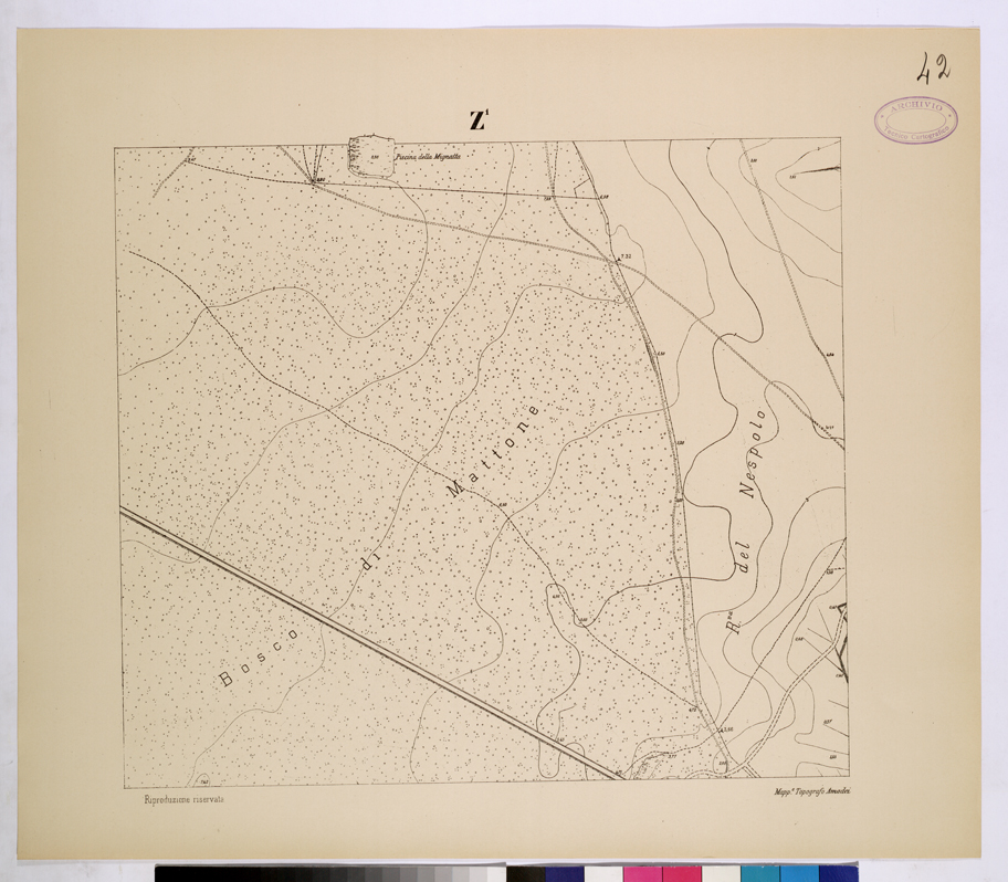 (N:26139) POLIGONO DI NETTUNO - FOGLIO Z1. (CA009349) Carte e stampe antiche: riproduzione a colori su carta (formato A1)