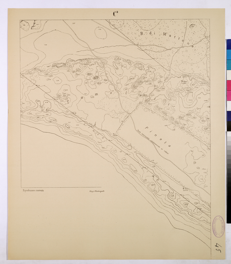(N:26143) POLIGONO DI NETTUNO - FOGLIO C2. (CA009352) Carte e stampe antiche: riproduzione a colori su carta (formato A1)