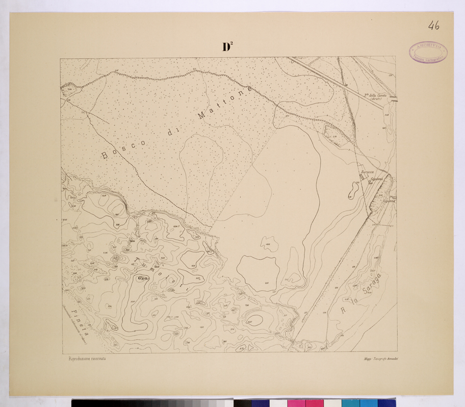 (N:26144) POLIGONO DI NETTUNO - FOGLIO D2. (CA009353) Carte e stampe antiche: riproduzione a colori su carta (formato A1)