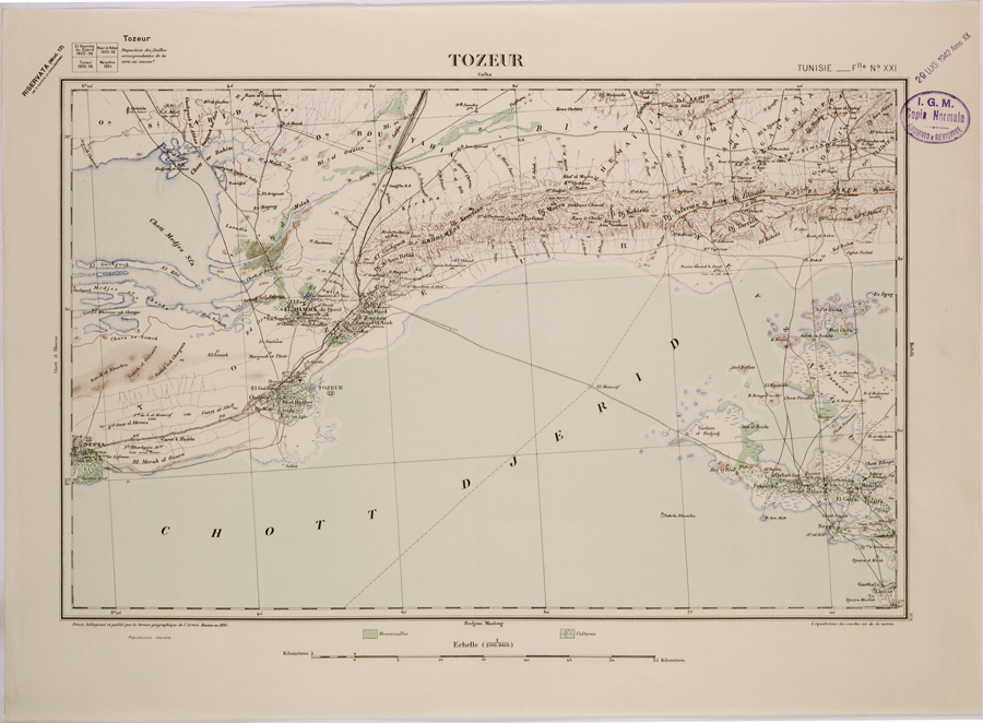(N:29087) TOZEUR - FOGLIO XXI. (SE002874) Carte e stampe antiche: riproduzione a colori su carta (formato A2)