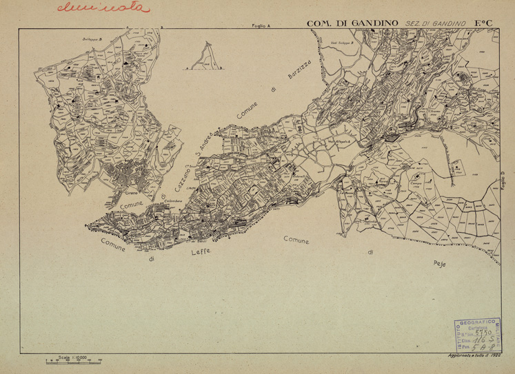 (N:12198) MAPPE CATASTALI D'ITALIA - PROVINCIA DI BERGAMO - Foglio C - COMUNE DI GANDINO Sezione di GANDINO (B0003497) Carte e stampe antiche: riproduzione a colori su carta (formato A2)