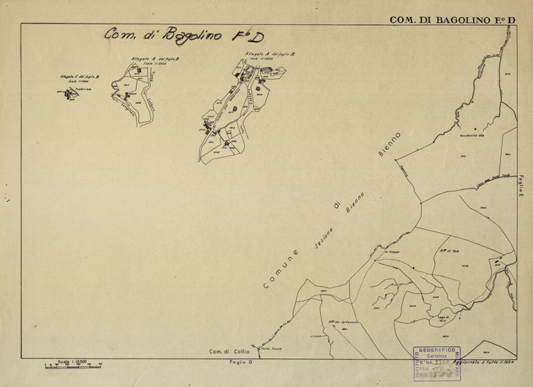 (N:12264) MAPPE CATASTALI D'ITALIA - PROVINCIA DI BRESCIA - Foglio D - COMUNE DI BAGOLINO (B0003554) Carte e stampe antiche: riproduzione a colori su carta (formato A2)