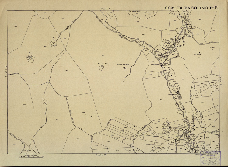 (N:12265) MAPPE CATASTALI D'ITALIA - PROVINCIA DI BRESCIA - Foglio E - COMUNE DI BAGOLINO (B0003555) Carte e stampe antiche: riproduzione a colori su carta (formato A2)