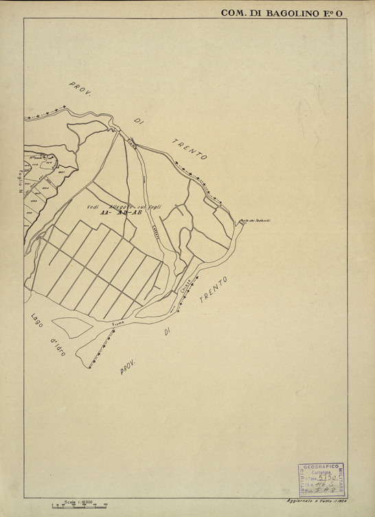 (N:12273) MAPPE CATASTALI D'ITALIA - PROVINCIA DI BRESCIA - Foglio O - COMUNE DI BAGOLINO (B0003563) Carte e stampe antiche: riproduzione a colori su carta (formato A2)