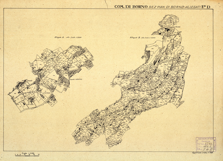 (N:12313) MAPPE CATASTALI D'ITALIA - PROVINCIA DI BRESCIA - Foglio D - COMUNE DI BORNO Sez. PIAN DI BORNO (B0003621) Carte e stampe antiche: riproduzione a colori su carta (formato A2)