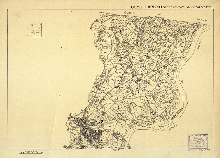 (N:12347) MAPPE CATASTALI D'ITALIA - PROVINCIA DI BRESCIA - Foglio C - COMUNE DI BRENO Sez. LOSINE (B0003643) Carte e stampe antiche: riproduzione a colori su carta (formato A2)