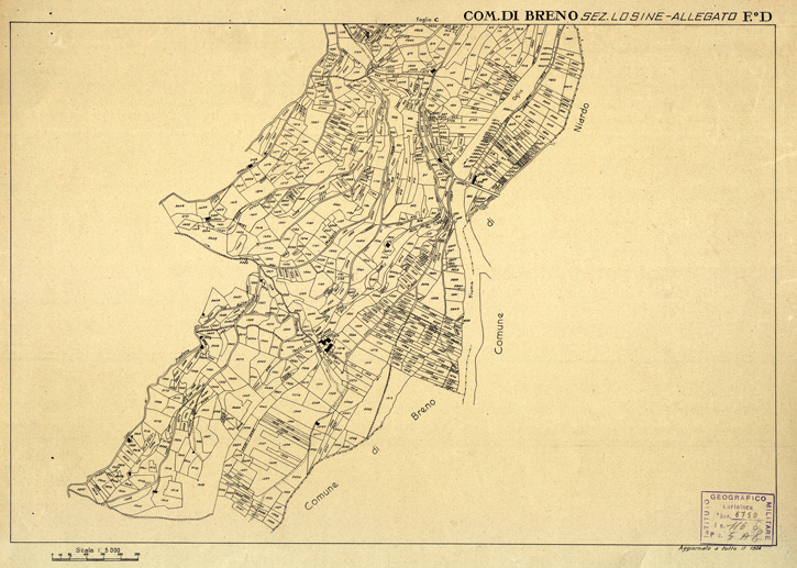 (N:12348) MAPPE CATASTALI D'ITALIA - PROVINCIA DI BRESCIA - Foglio D - COMUNE DI BRENO Sez. LOSINE (B0003644) Carte e stampe antiche: riproduzione a colori su carta (formato A2)