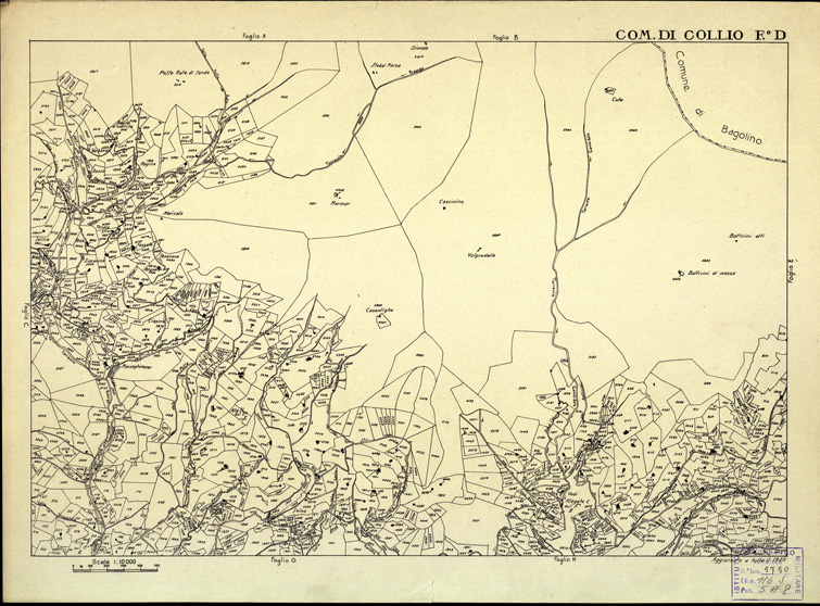 (N:12393) MAPPE CATASTALI D'ITALIA - PROVINCIA DI BRESCIA - Foglio D - COMUNE DI COLLIO (B0003689) Carte e stampe antiche: riproduzione a colori su carta (formato A2)