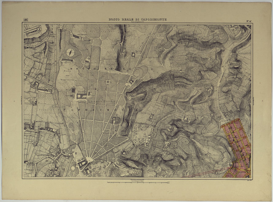 (N:25247) PIANTA TOPOGRAFICA DELLA CITTA' DI NAPOLI ALLA SCALA DI 1:4.000 EDIZIONE CON APPROVAZIONE PER AGGIORNAMENTI CATASTALI - FOGLIO 4 BOSCO REALE DI CAPODIMONTE. (CA007651) Carte e stampe antiche: riproduzione a colori su carta (formato A2)