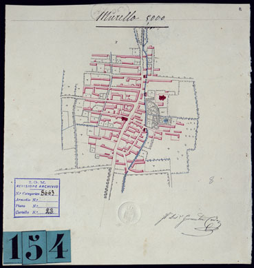 (N:10541) GRPUUO DI DODICI PIANTE DISEGNATE AD ACQUERELLO - MURELLO. (CA001846) Carte e stampe antiche: riproduzione a colori su carta (formato A3)