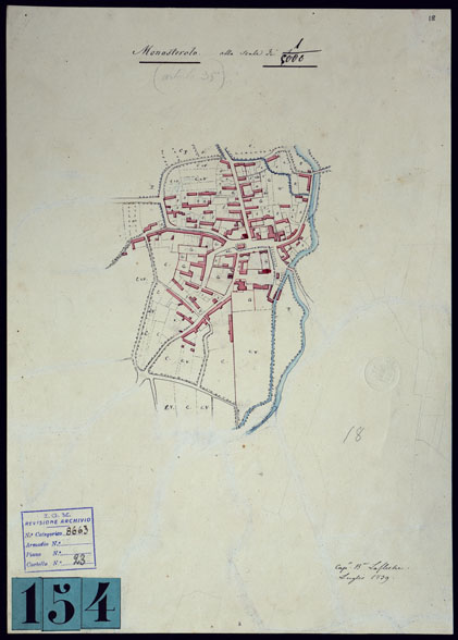(N:10543) GRUPPO DI DODICI PIANTE DISEGNATE AD ACQUERELLO - MONASTEROLO. (CA001851) Carte e stampe antiche: riproduzione a colori su carta (formato A3)