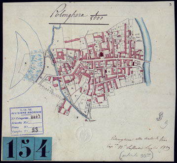 (N:10540) GRUPPO DI DODICI PIANTE DISEGNATE AD ACQUERELLO - POLENGHERA. (CA001841) Carte e stampe antiche: riproduzione a colori su carta (formato A4)