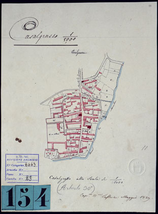 (N:10547) GRUPPO DI DODICI PIANTE DISEGNATE AD ACQUERELLO - CASALGRASSO. (CA001848) Carte e stampe antiche: riproduzione a colori su carta (formato A4)